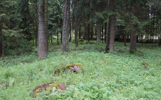 2_⁪Tučkinės akmenų ruožas (1)_r1.jpg